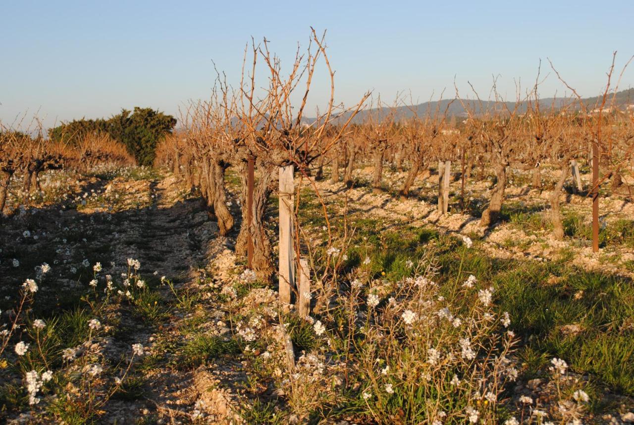 Terre De Bacchus Bed & Breakfast Vacqueyras Exterior foto