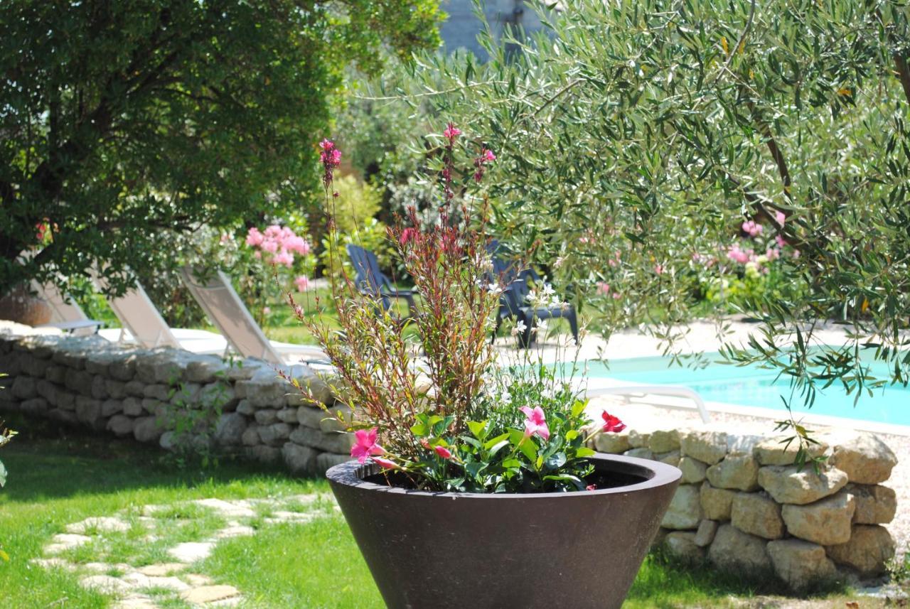 Terre De Bacchus Bed & Breakfast Vacqueyras Exterior foto